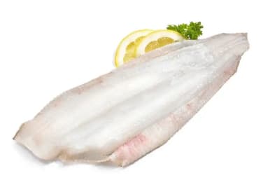Smørflyndre