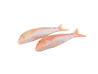 Red Mullet