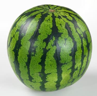 Vannmelon hel