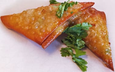 Samosa Med Kylling