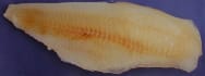 Lutefiskfilet Torsk u/Skinn&bein Ca1,1kg