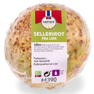 Sellerirot