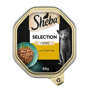 Sheba Selection