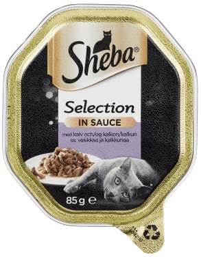 Sheba Selection