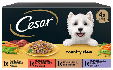 Cesar Country