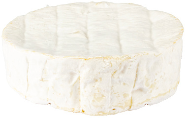 Camembert