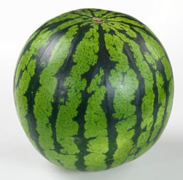 Vannmelon Hel