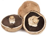 Produktbilde: Portobello
