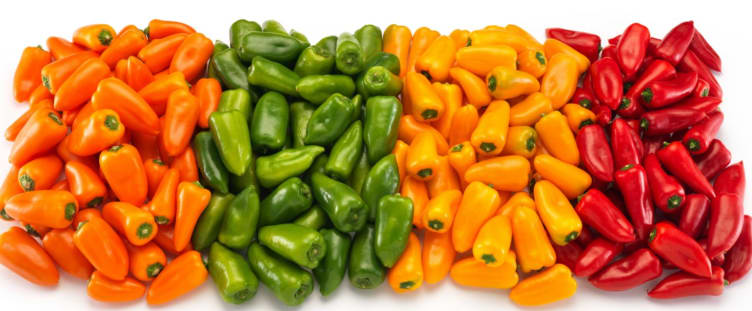 Product Image for Paprika Sweet Bite Alle Farger