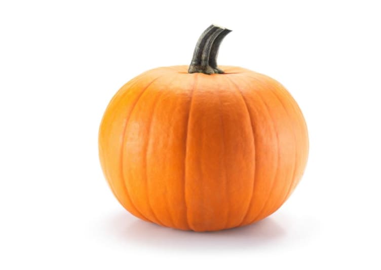 Gresskar Halloween