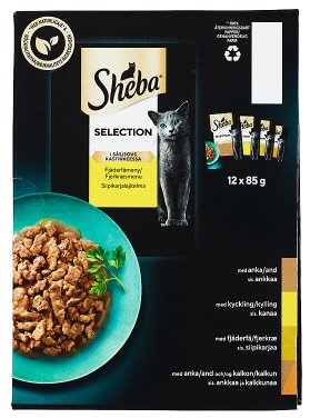 Sheba Selection