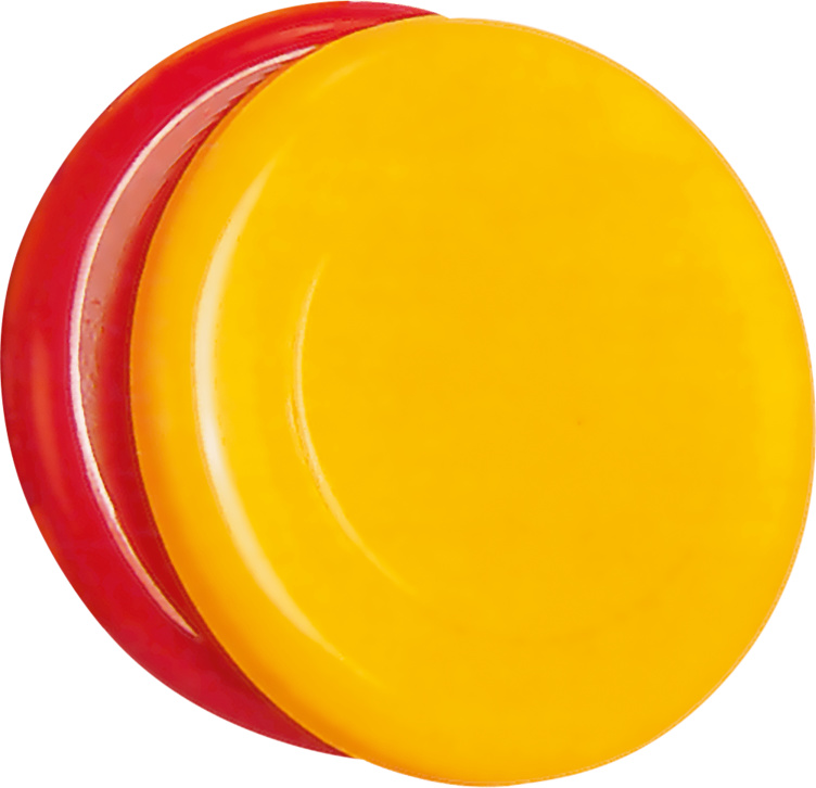 Frisbee 23cm Tsl