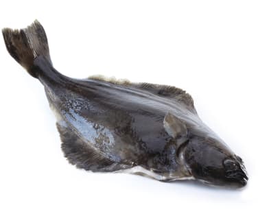 Kveite Villfanget hel pr Kg