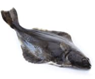 Produktbilde: Kveite