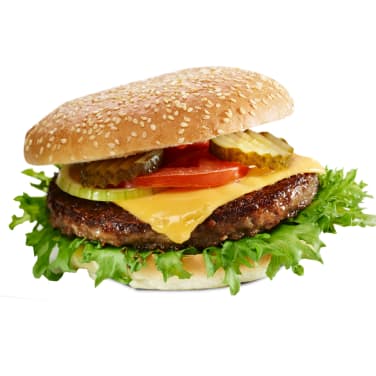 Hamburger Spesial