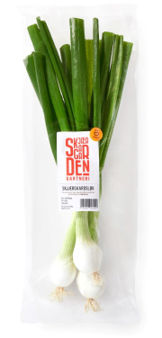 Skjærgårdsløk Hvit Bunt Skjærgaarden