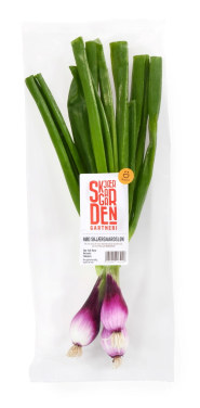 Skjærgårdsløk Rød Bunt Skjærgaarden