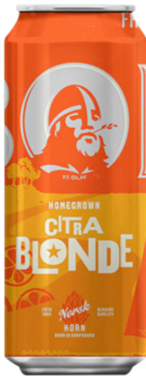 Bilde av Borg Citra Blonde 0,5l boks