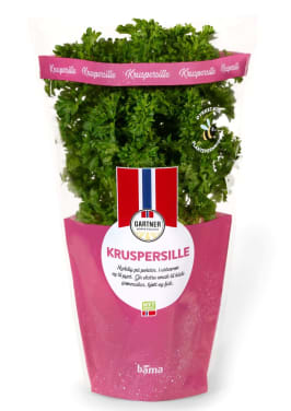 Kruspersille