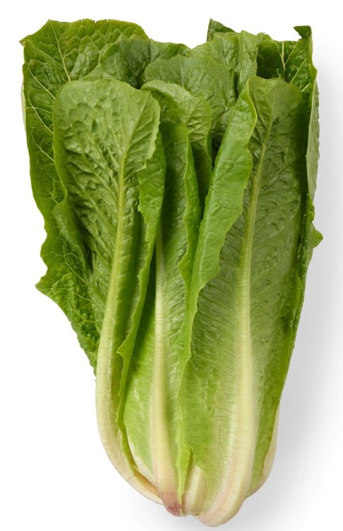 Product Image for Romano Salat Bama