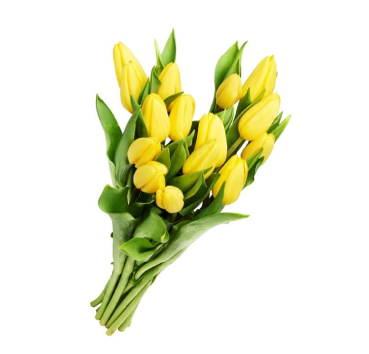 Tulipaner 15stk