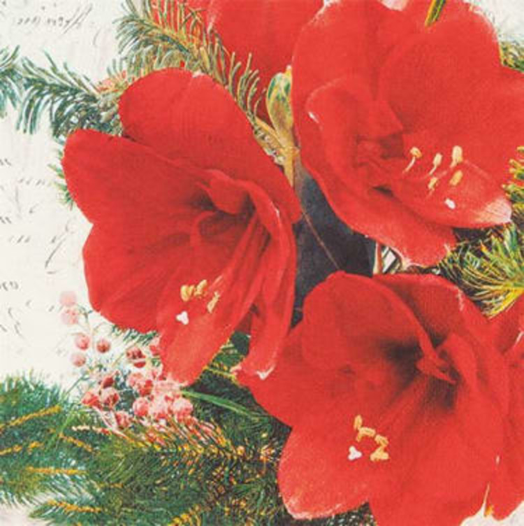 Serviett Rød Juleblomst 20stk Unik