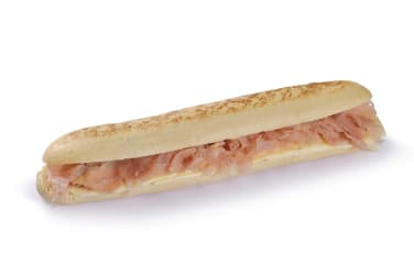 Panini