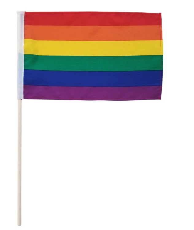 Pride Håndflagg 20x30cm