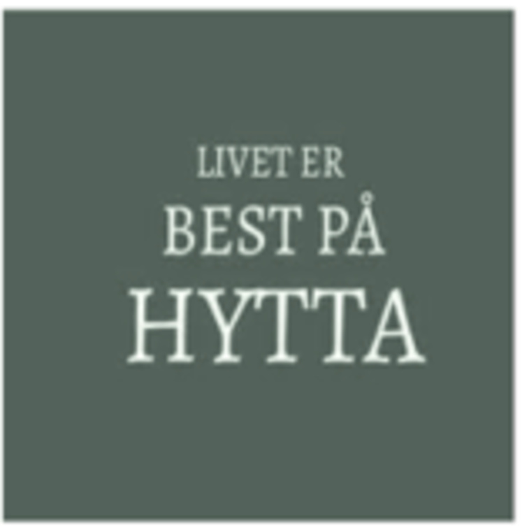 Serviett Lunsj Livet Er Best På Hytta 20stk Unik