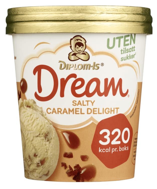 Dream Delight Salty Caramel 0,5l Diplom