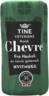 Forsiden