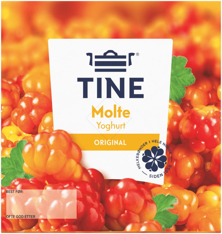 Yoghurt Molte 4x150g