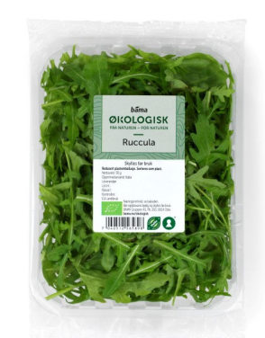 Ruccula Salat 50g Økologisk