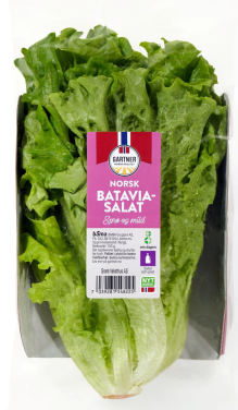Salat Batavia 150g
