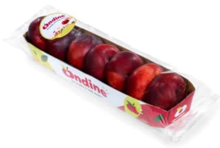 Nektarin Flate Ondine 500g