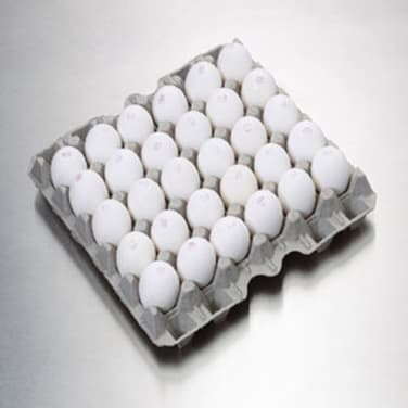 Egg L