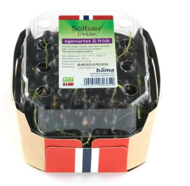 Solbær 300g kurv