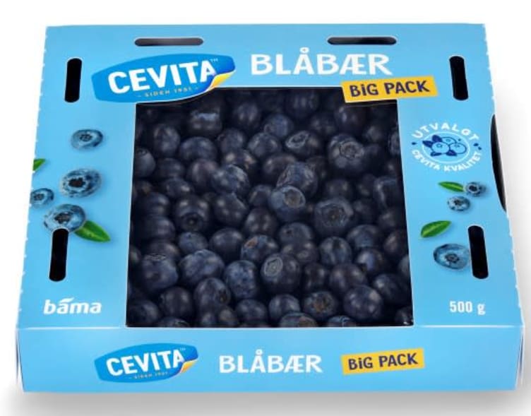 Blåbær 500g Cevita