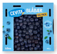 Produktbilde: Blåbær