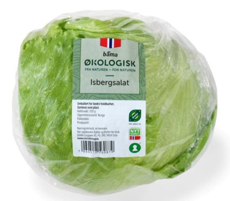 Isbergsalat 350g Økologisk