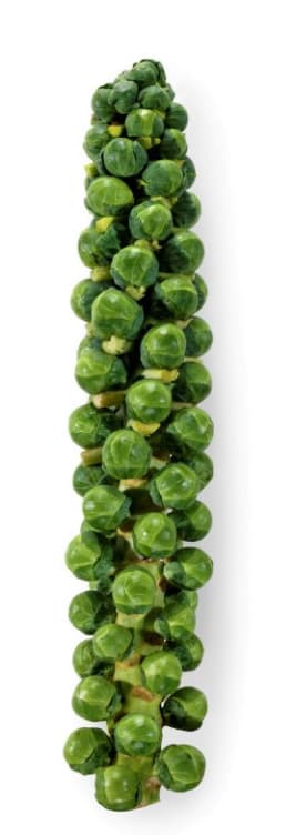 Rosenkål Stokk Grønn