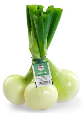 Løk