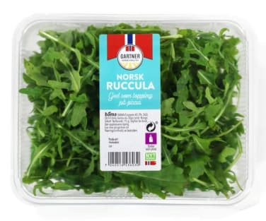 Ruccula Salat