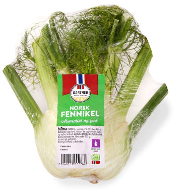 Fennikel