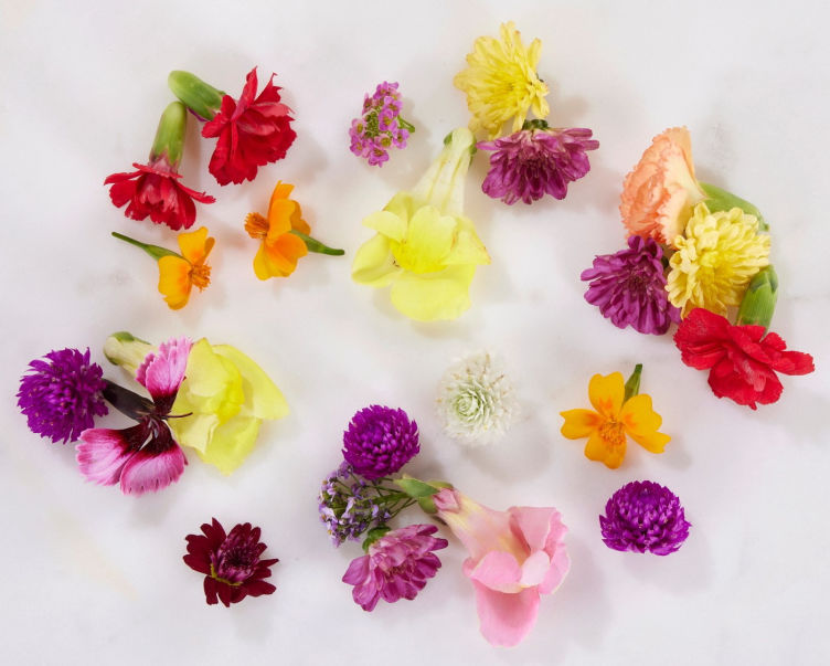 Spiselig Blomst Miks