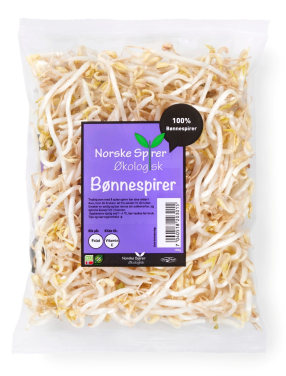 Bønnespirer