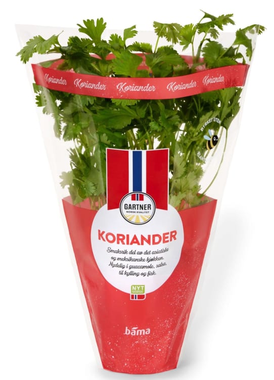 Koriander 9cm Potte Gartner