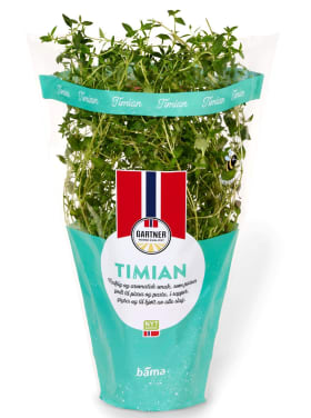 Timian