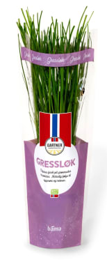 Gressløk