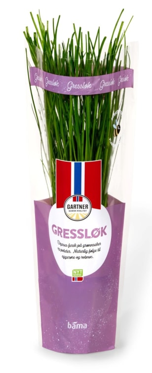 Gressløk 6,5cm Potte Gartner